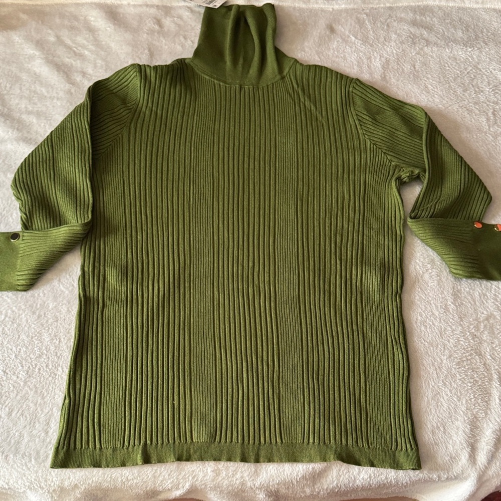 JM Collection Ribbed Turtleneck Sweater (1X)